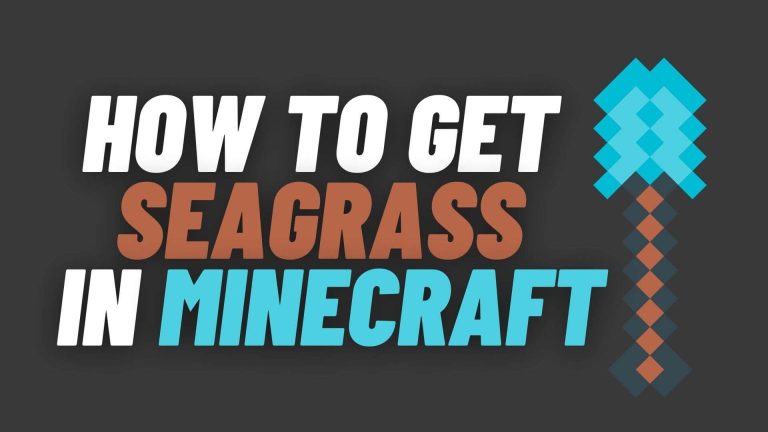 How To Get Seagrass in Minecraft | Easy Steps