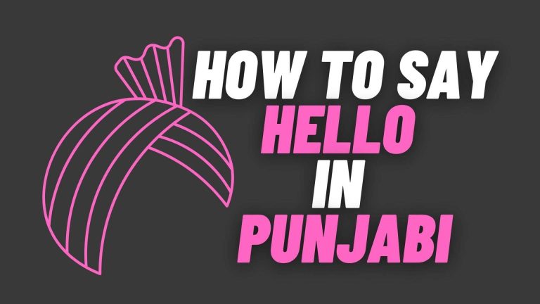 How To Say Hello in Punjabi | Best Way